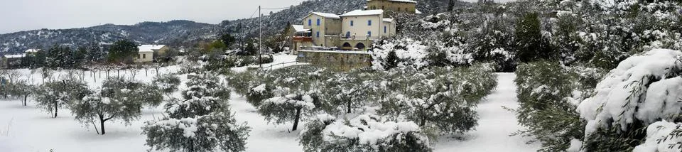 Landscape of gard under snow Stock Photos