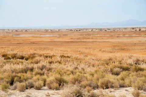 Landscape of gobi desert Foto stock