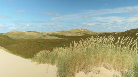 Landscape of grass covered dunes Stock Footage 79285483