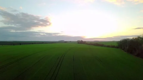Landscape with grass field and sky during golden hour - Dynamic Stock Footage 229201007