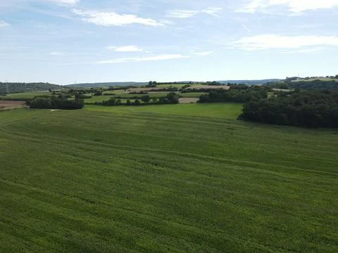 Landscape with grass, trees and a blue sky in summer Stock Photos