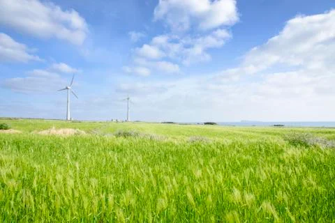 Landscape of green barley field and wind generato Stock Photos