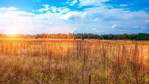 Landscape of a green field under a bubbly summer colorful sky at sunset dawn Foto stock