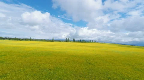 Landscape of green field under cloudy sky Stock Footage 50055083