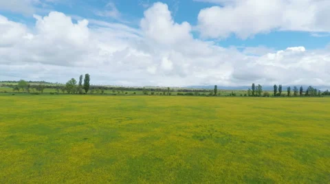 Landscape of green field under cloudy sky Stock Footage 50099908