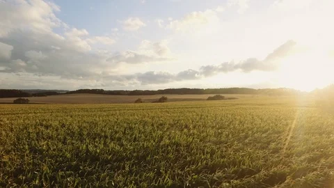 Landscape of Green Fields Under Sunny and Cloudy Skies Stock Footage