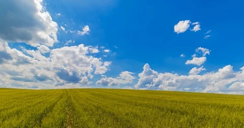 Landscape of green grass fields under blue sky with white clouds, time-lapse Видео 92908575