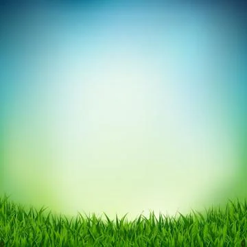 Landscape With Green Grass Stock Illustration