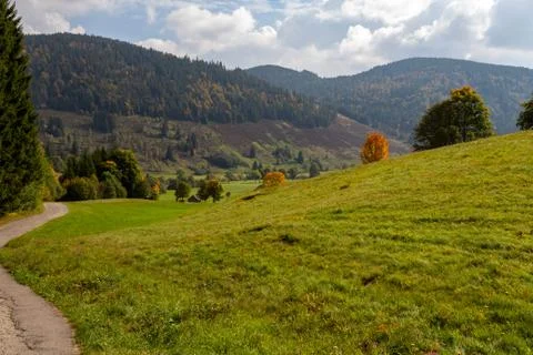 Landscape with green meadow, multi colored trees, mountain range with forest Stock Photos