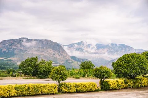 Landscape of green meadows between mountains, with a blue sky with clouds. Stock Photos