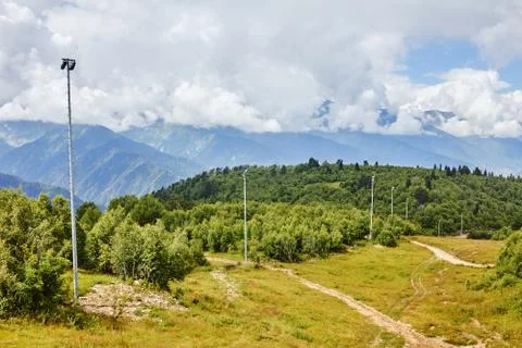 Landscape with green meadows. Foto stock