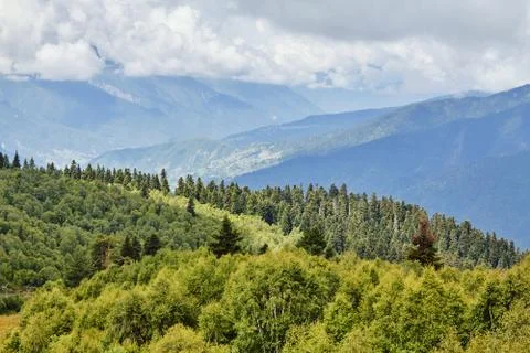 Landscape with green meadows. Stock Photos