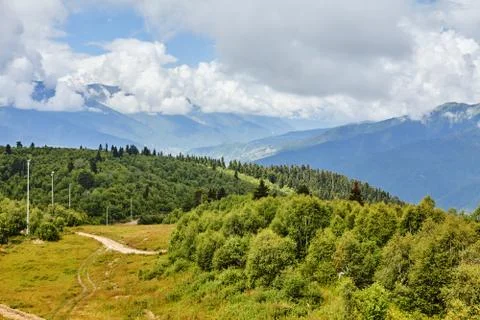 Landscape with green meadows. Stock-Fotos