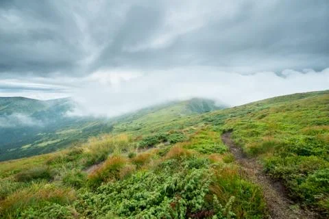 Landscape with green mountains in the clouds Stock Photos