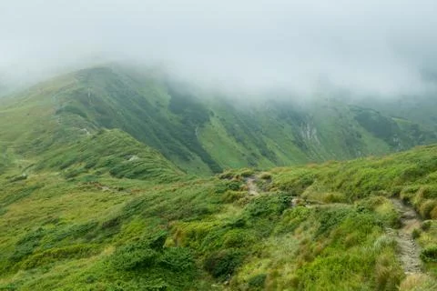 Landscape with green mountains in the clouds Stock Photos