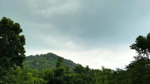 Landscape Green Natural, Drizzle Tree And Treetop On Blue Grey Sky Stock Footage 273660244