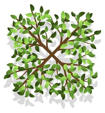 Landscape green plant element. Plan top view Stock Illustration