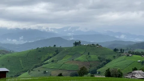Landscape green rice fields with mountain Video stock 252702393