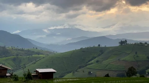 Landscape green rice fields with mountain Video stock 252727067