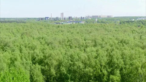 Landscape, green trees, ash, birch, spring 動画素材 89574409