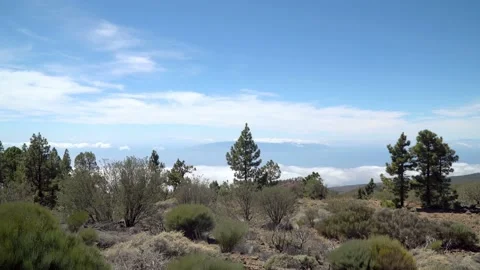 Landscape with green trees with clouds moving on the sky in time lapse Stock Footage 92512695