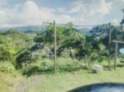 Landscape with green trees Stock Photos