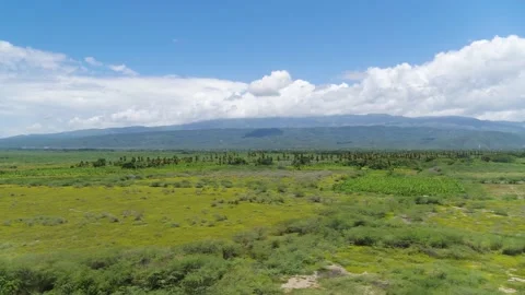 Landscape of a green valley with meadows, fields and trees. Stock Footage 201242769