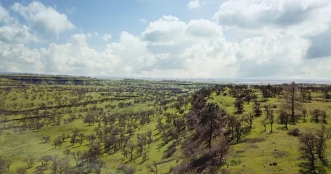 LANDSCAPE GREEN VALLEY OF TREES DRONE 4K Stock Footage 123553162