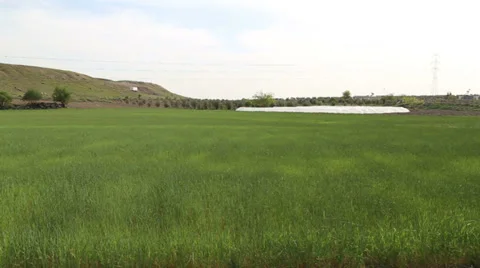 Landscape with a greenhouse. Stock Footage 37232216