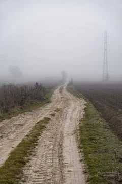 Landscape with ground road through fields during foggy day Foto stock