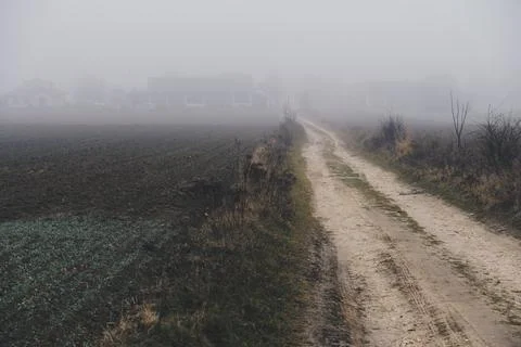 Landscape with ground road through fields during foggy day Stock Photos