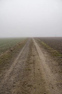 Landscape with ground road through fields during foggy day Foto stock