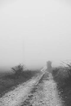 Landscape with ground road through fields during foggy day Stock Photos