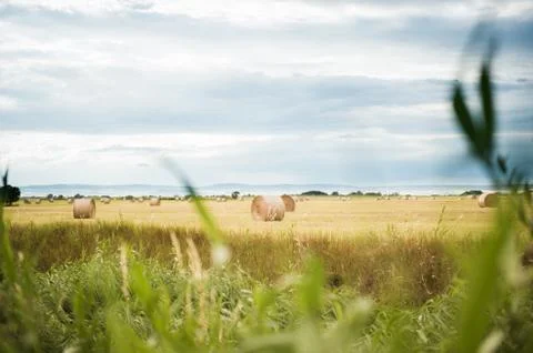 Landscape with hay bales and cloudy sky Stock Photos