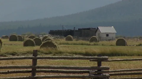 Landscape with Hay Bales Stock Footage 93662959