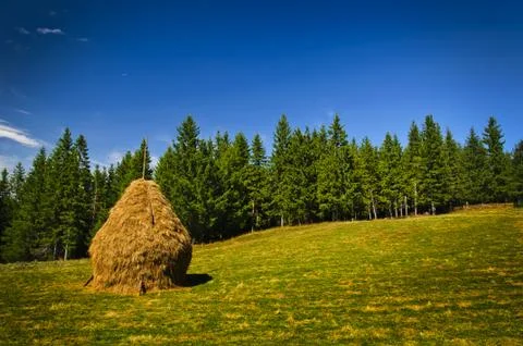 Landscape with hay stack Stock Photos