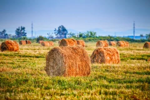 Landscape with haystack on the field Stock Photos