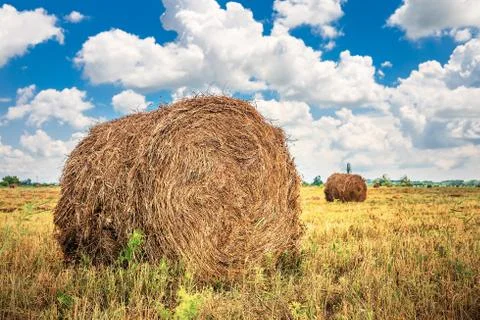 Landscape with haystack on the field Stock Photos