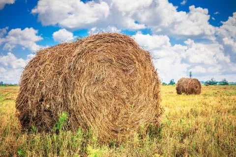 Landscape with haystack on the field Fotos de archivo