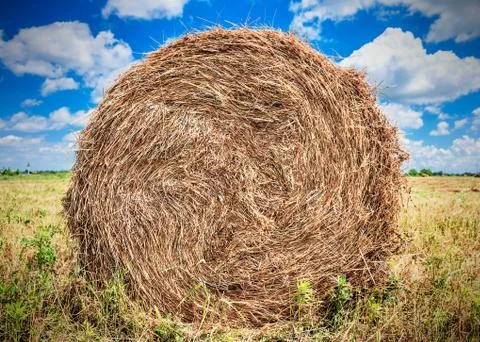 Landscape with haystack on the field Stock Photos