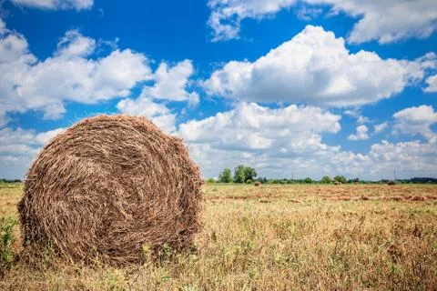 Landscape with haystack on the field Stock Photos