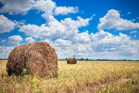 Landscape with haystack on the field Stock Photos