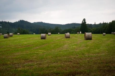 Landscape with haystacks on a summer day . Stock Photos