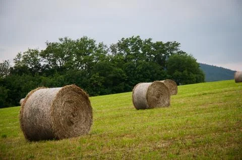 Landscape with haystacks on a summer day . Stock Photos