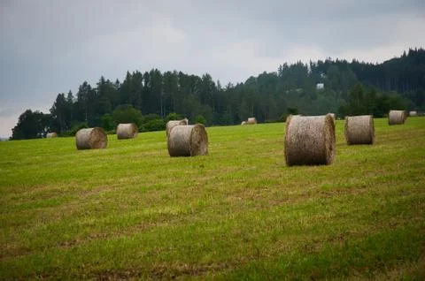 Landscape with haystacks on a summer day . Stock Photos