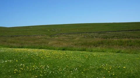 Landscape by the Hermitage Castle Stock Photos