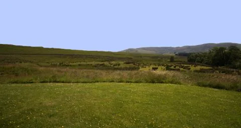 Landscape by the Hermitage Castle Stock Photos