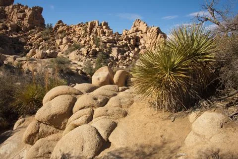 Landscape in Hidden Valley Stock Photos