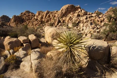 Landscape in Hidden Valley Stock Photos