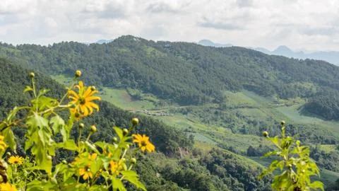 Landscape high mountain range at doi mae u ko Stock Photos